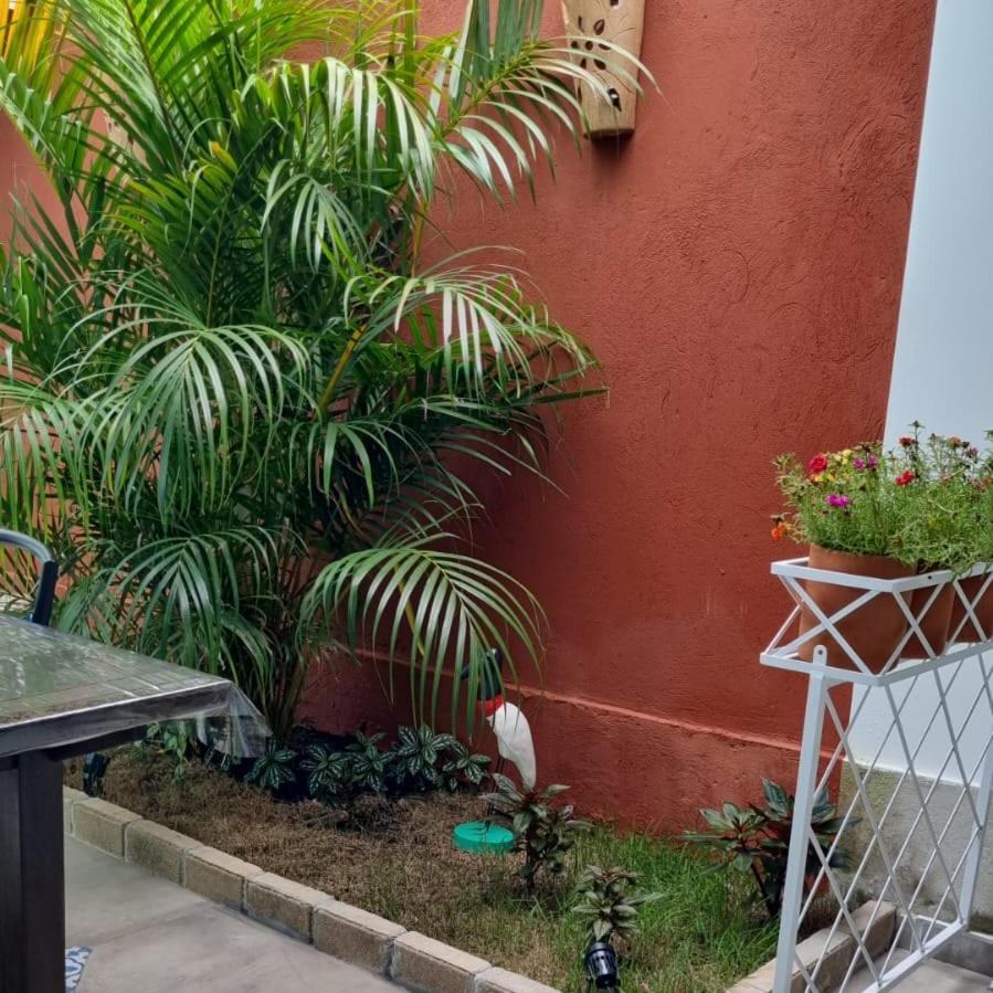 Perola De Bombinhas Hotel Eksteriør billede